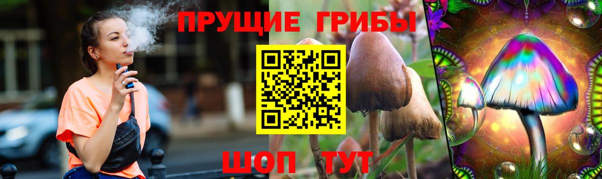 Сокол  Галлюциногенные грибы Psilocybe  Галлюциногенные грибы Psilocybine cubensis  Вход с VPN 